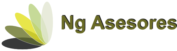 Landing NG Asesores
